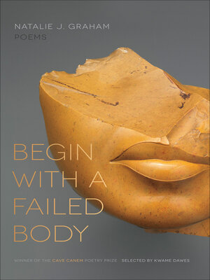 cover image of Begin with a Failed Body